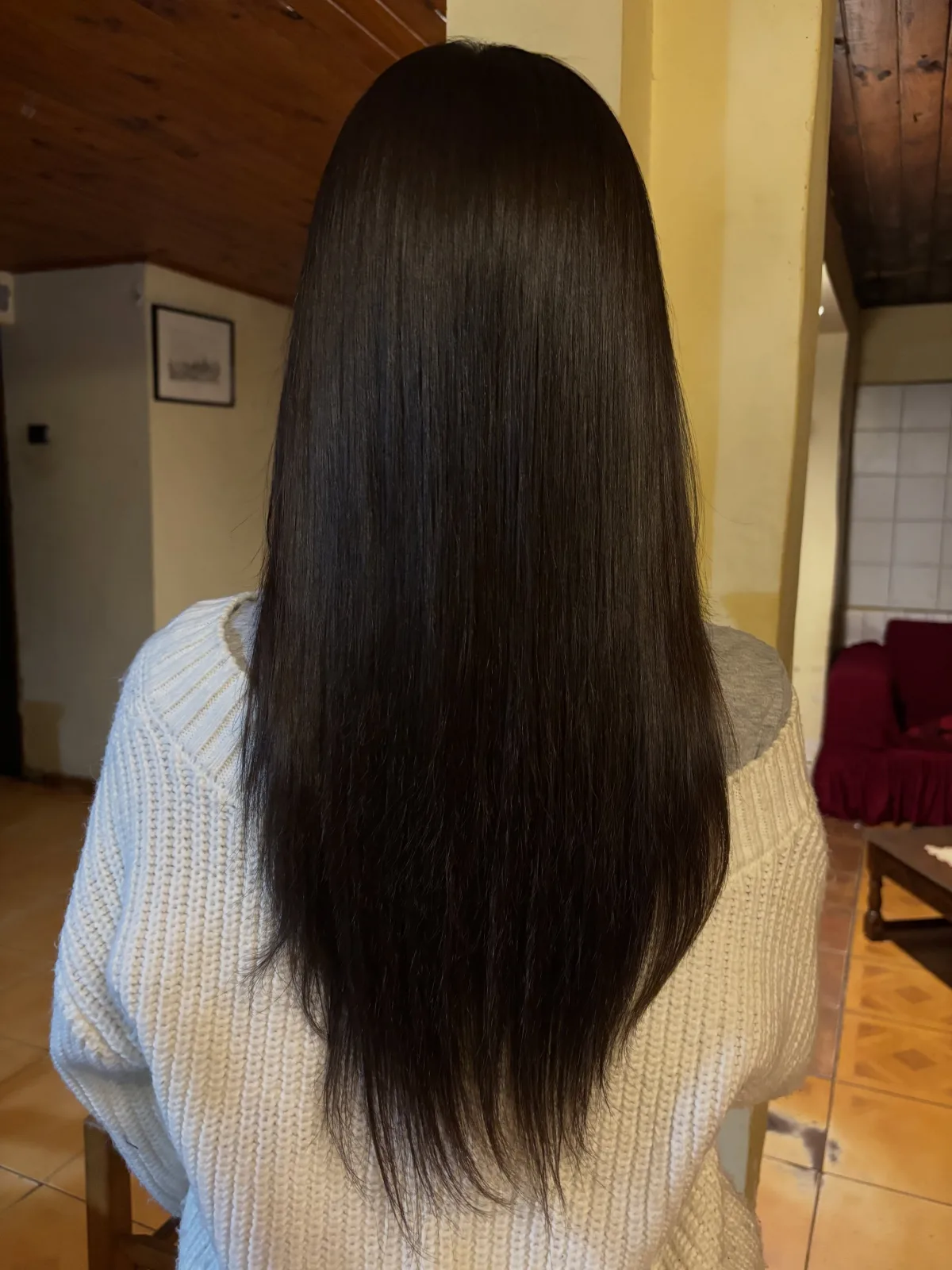 Cabello muy largo, oscuro, liso y brillante visto desde atrás